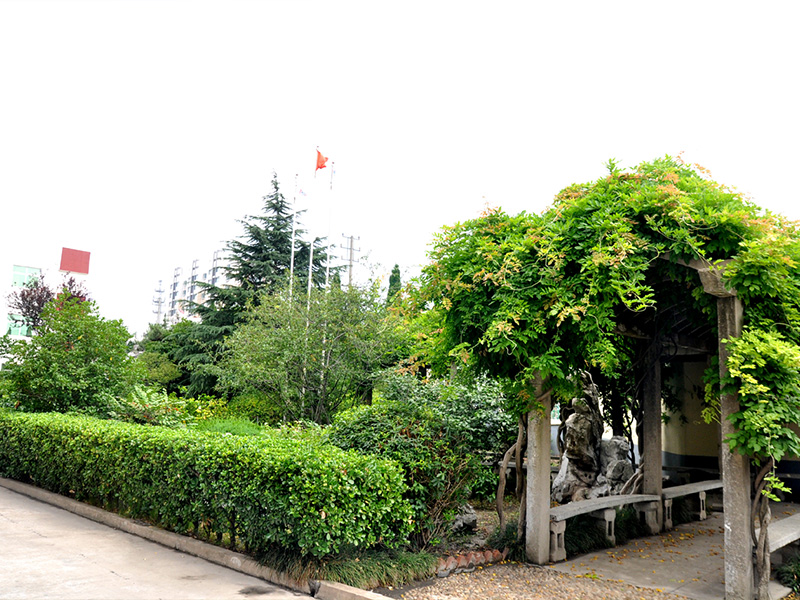 10年前承建的大型企业园林绿化，现在花草树木郁郁葱葱，该公司产值已经达15亿以上