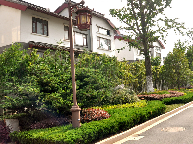 小区路道绿化
