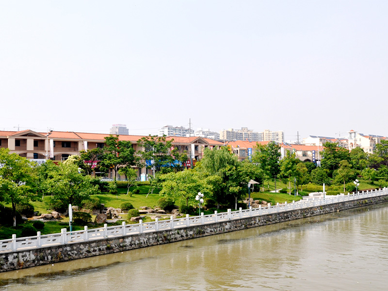 公司承建的滨河绿化