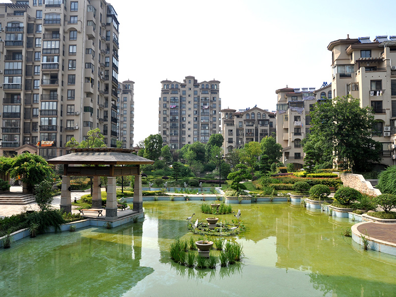 小区水景全景