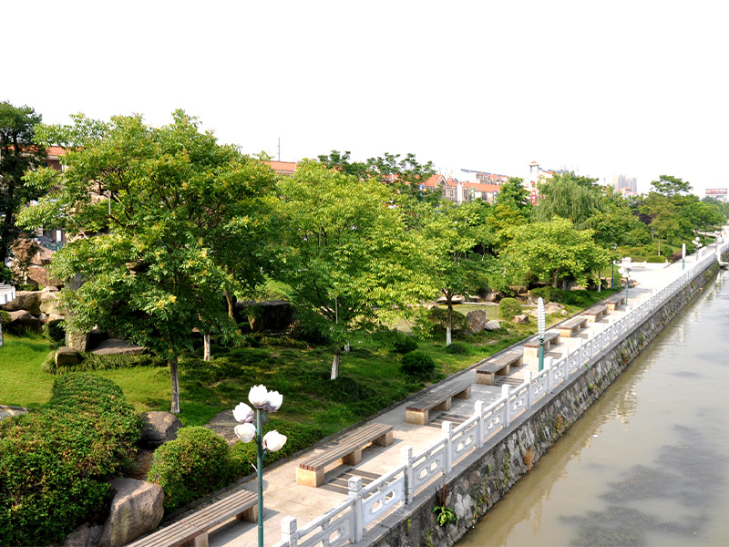 公司承建的滨河驳岸及绿化